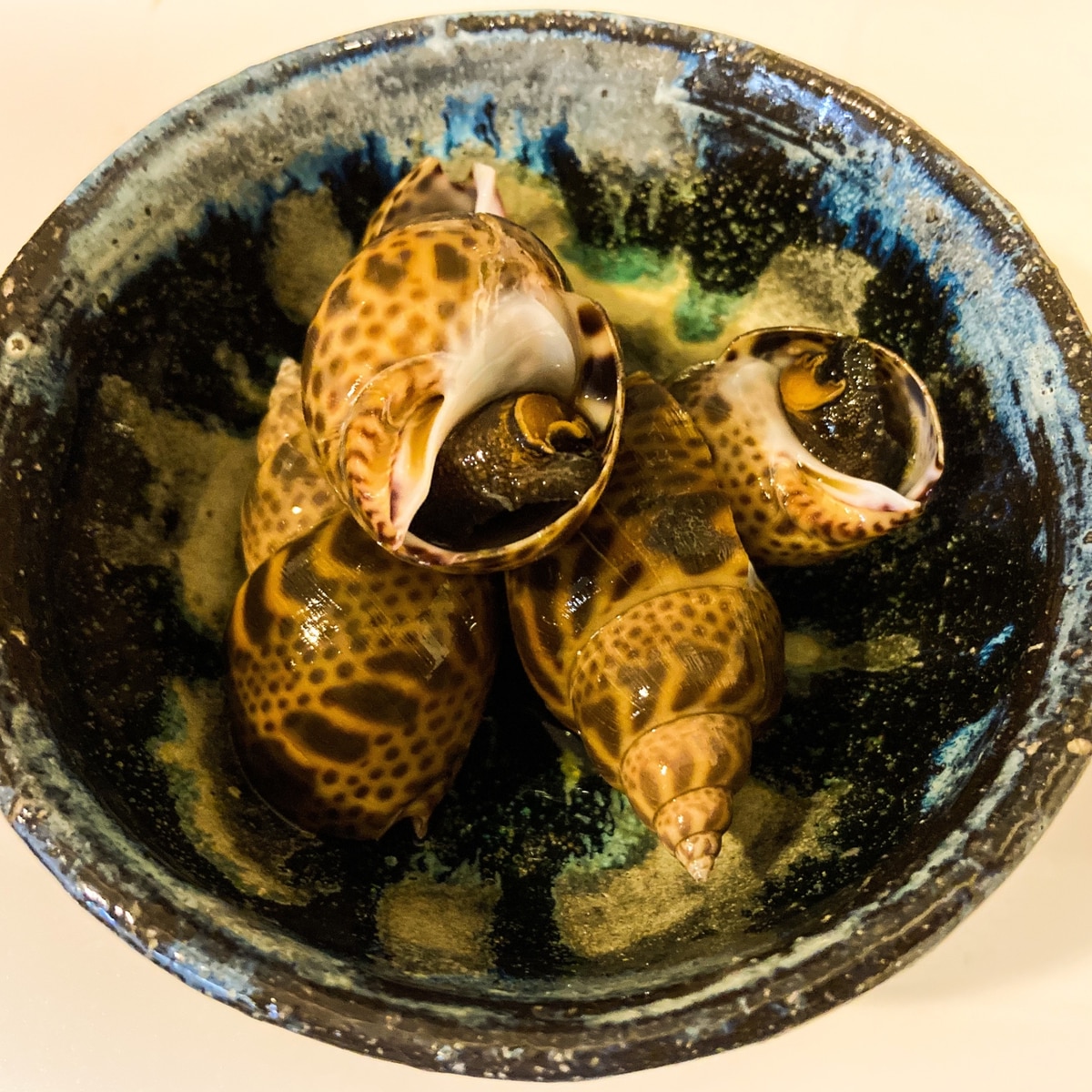 お酒のおつまみに最高 バイ貝の煮付け レシピ 作り方 By Akkoのレシピ 楽天レシピ お酒のおつまみに最高 バイ貝の煮付け レシピ 作り方 By Akkoのレシピ 楽天レシピ